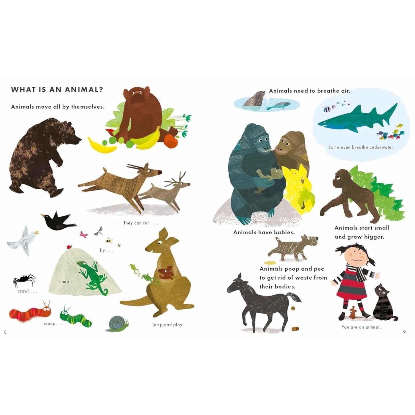 Big Book of Animals