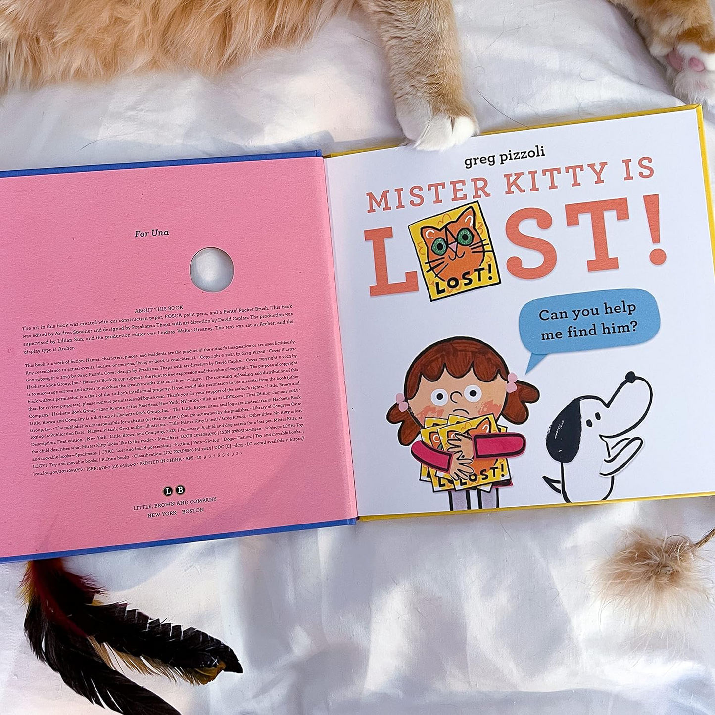 Mister Kitty Is Lost!